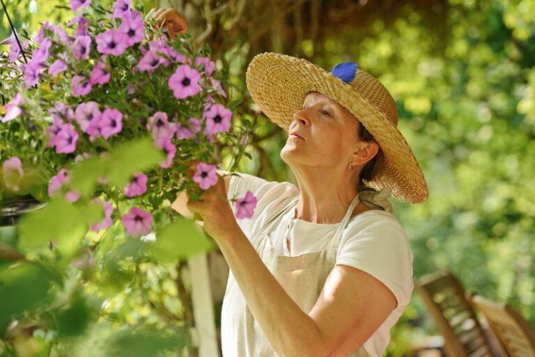How to Deadhead Petunias for a Blooming Success