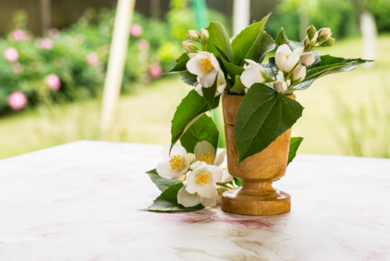 Tips for Growing Jasmine Indoors: A Scent-Sational Journey