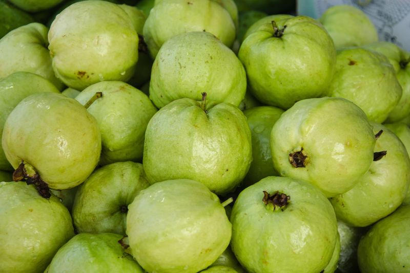 Benefits of Growing Pineapple Guava