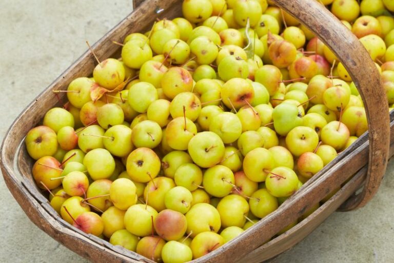 Can You Eat Crab Apples? A Simple Guide To This Ornamental Fruit
